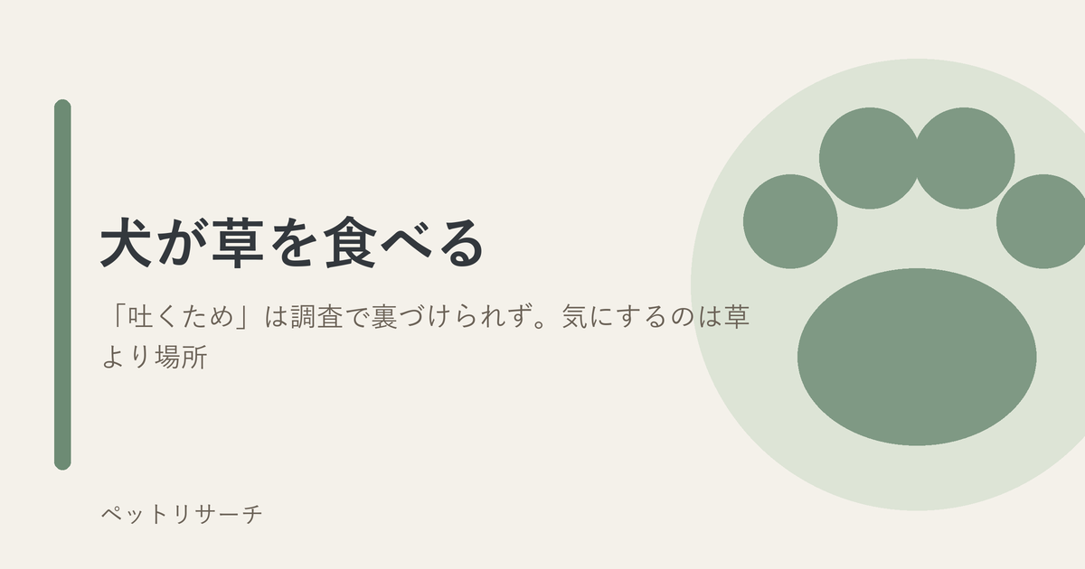 犬が草を食べる理由と散歩中の対処
