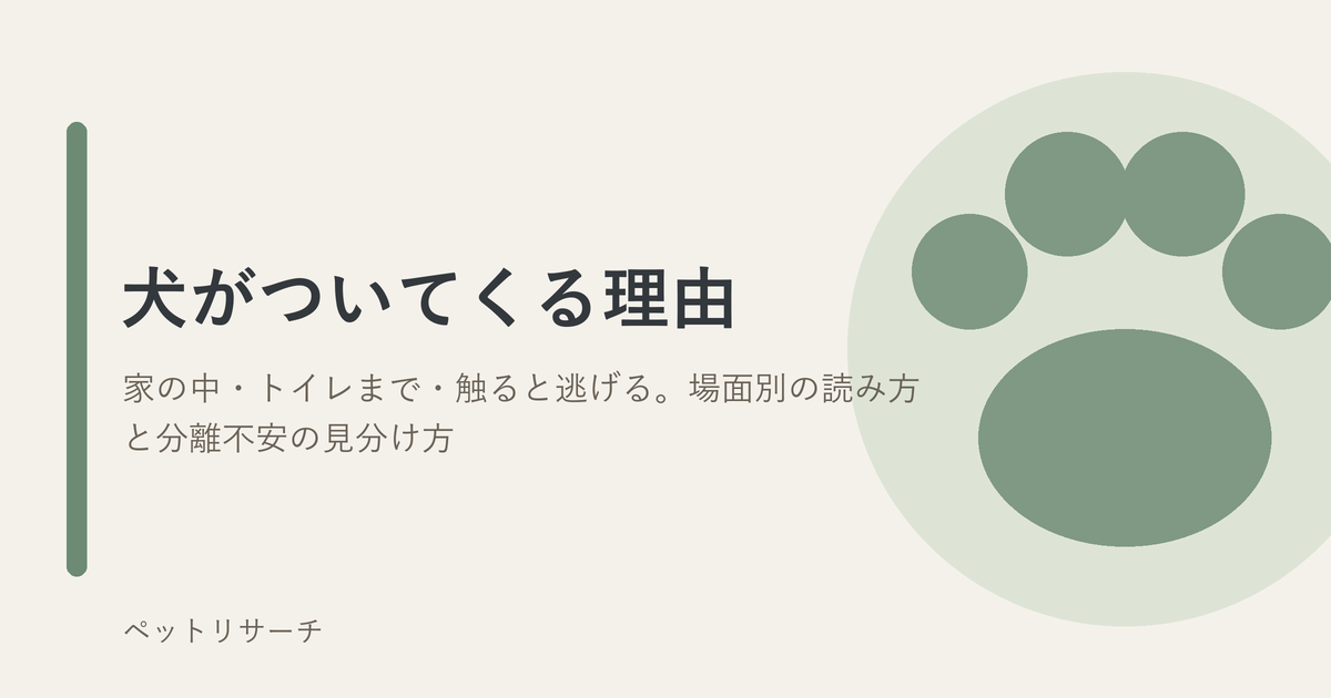 犬の肉球をかたどった図と、記事タイトル「犬がついてくる理由」を配したアイキャッチ画像