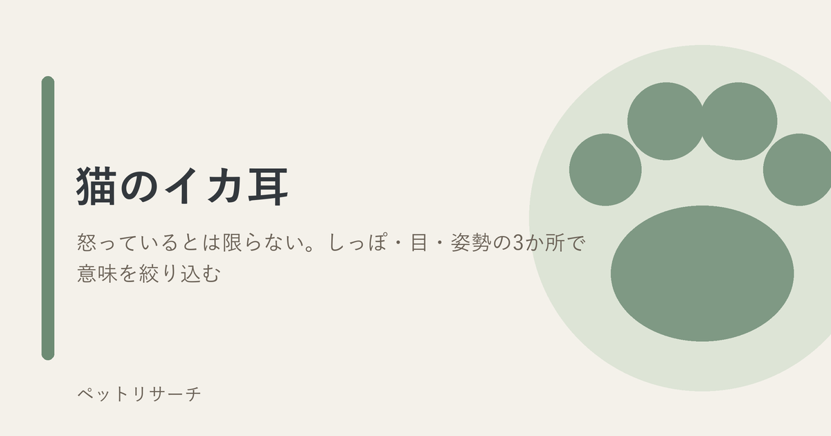 猫のイカ耳の意味としっぽ・目・姿勢での見分け方