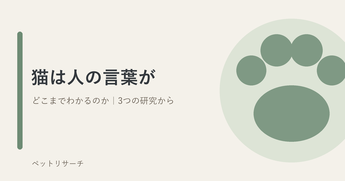 猫と人の言葉をテーマにしたアイキャッチ画像