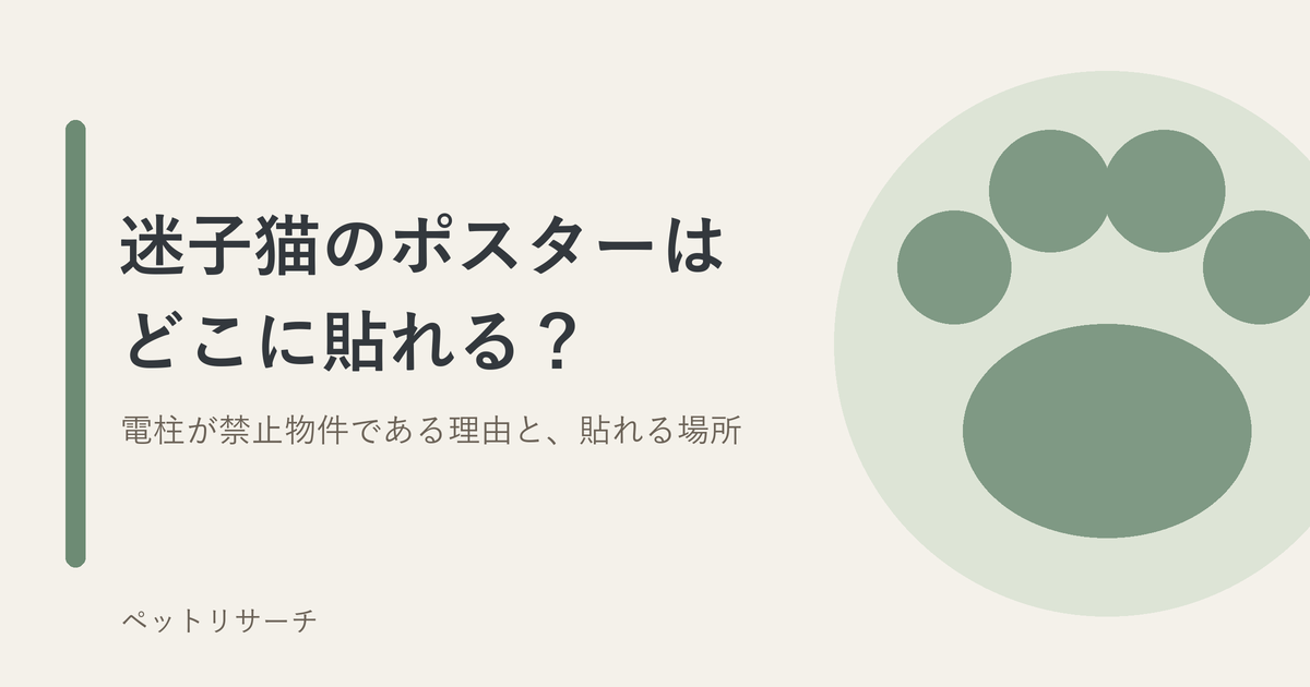 迷子猫のポスターはどこに貼れる？電柱が禁止物件である理由と、貼れる場所
