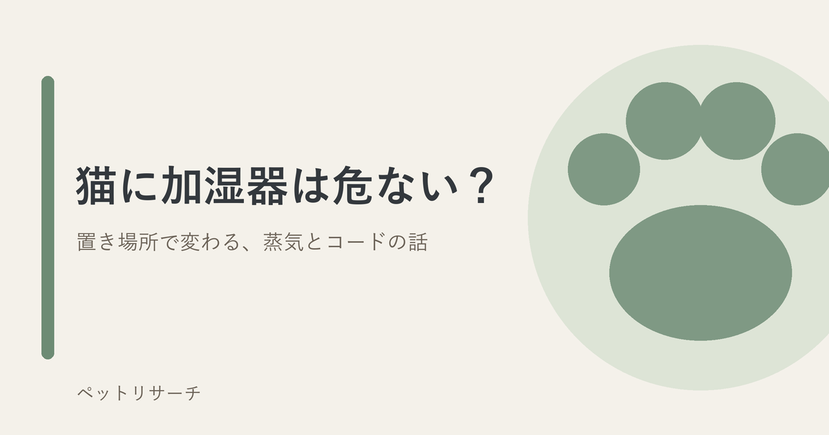 猫に加湿器は危ない？（置き場所で変わる、蒸気とコードの話）のアイキャッチ
