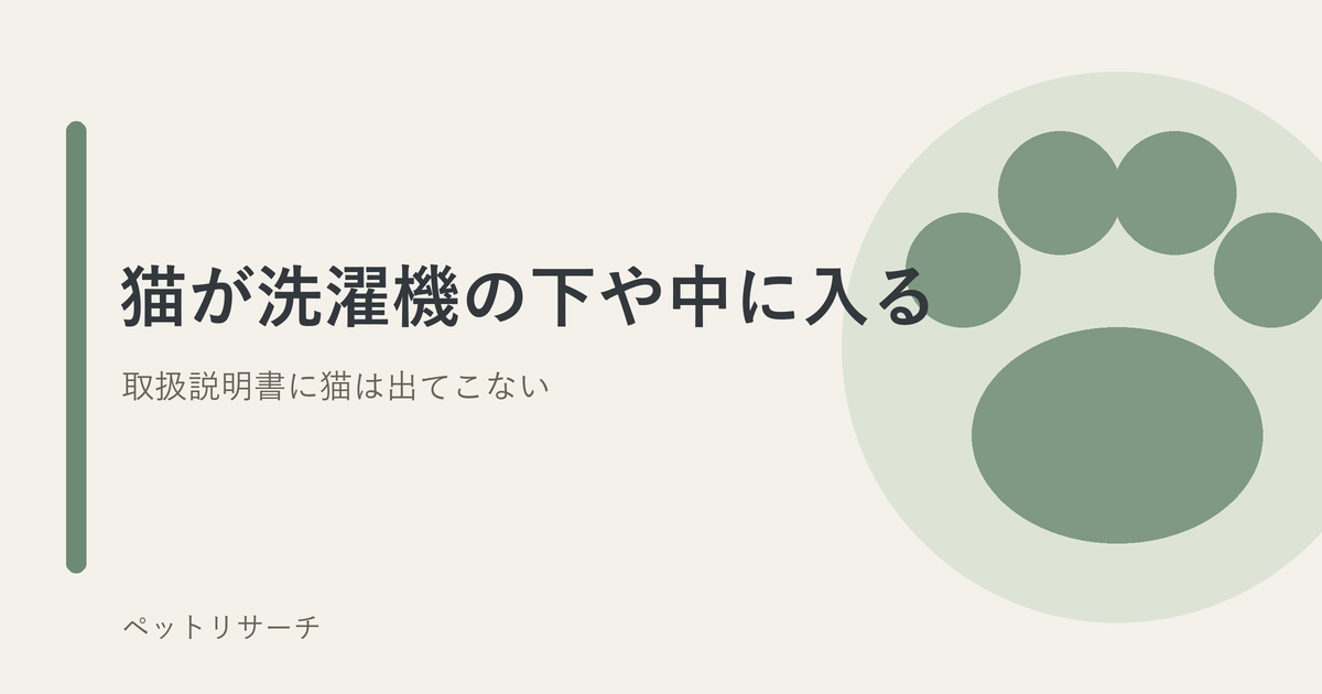 猫が洗濯機の下や中に入る（取扱説明書に猫は出てこない）のアイキャッチ