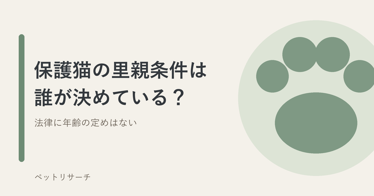 保護猫の里親条件は誰が決めているのか。法律に年齢や世帯の定めはない
